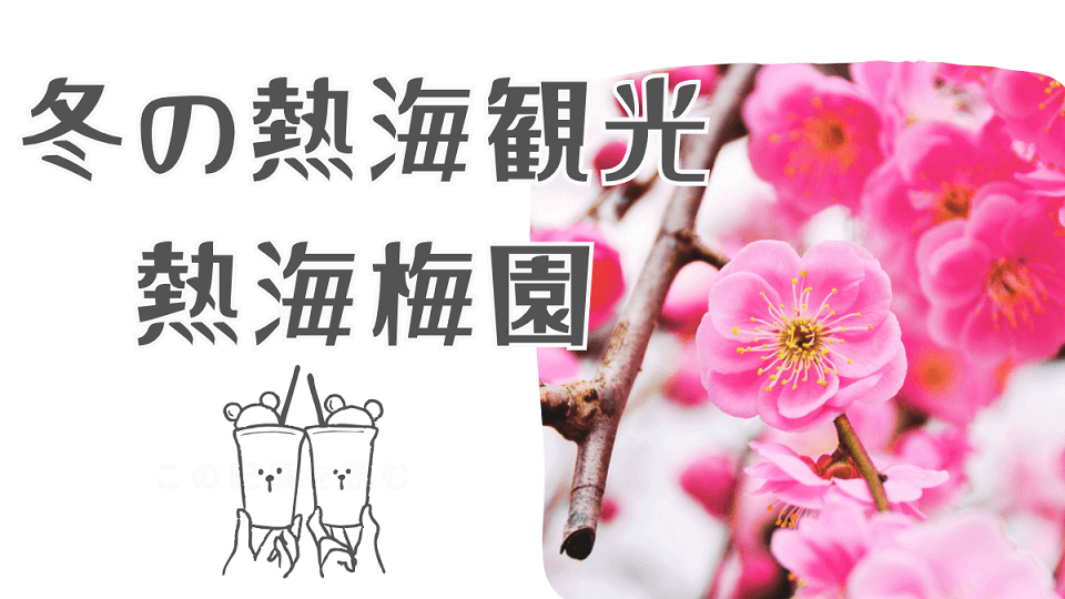 熱海梅園徹底ガイド：見頃、アクセス、混雑回避術まで！